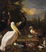 Melchior de Hondecoeter The Floating Feather oil painting reproduction